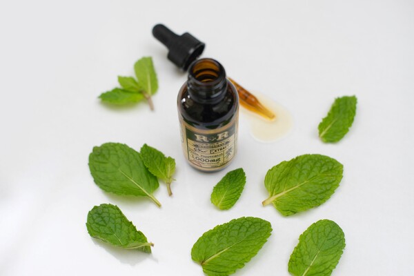 Herbal Extracts Alter Amyloid Beta Levels in SH-SY5Y Neuroblastoma Cells
