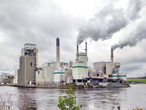 The determinants and incentives of corporate greenhouse gas emission reduction