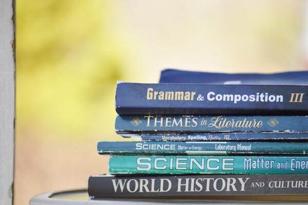 Grammatical Gender and Politics: A Comparison of French and English in Political Discourse
