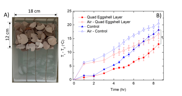 Slowing ice melting from thermal radiation using sustainable, eco-friendly eggshells