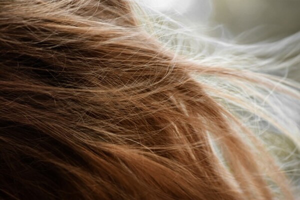 Determining viability of image processing models for forensic analysis of hair for related individuals
