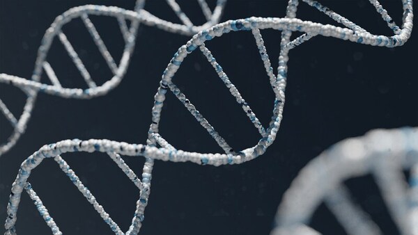 Designing gRNAs to reduce the expression of the DMPK gene in patients with classic myotonic dystrophy