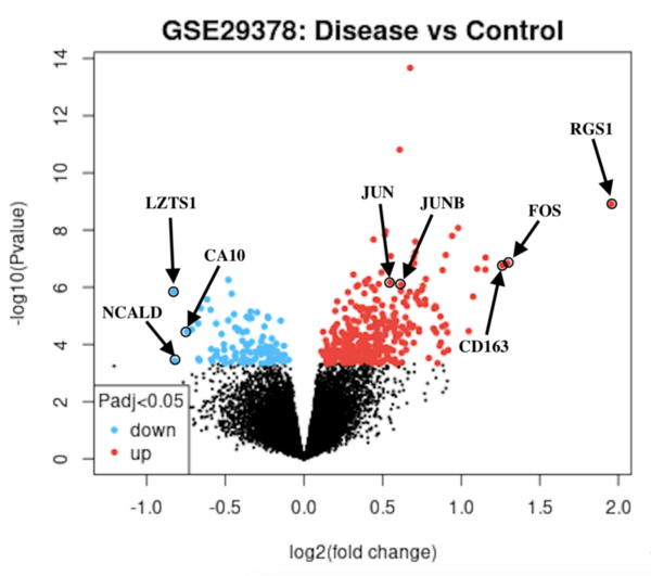 Upregulation of the AP-1 complex as a potential biomarker for Alzheimer’s disease (AD)